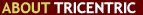 About tricCentric Solutions, Inc. Philadelphia Web Site Design, Graphic Design, Internet Marketing including Search Engine Optimization (SEO) and Pay Per Click (PPC). We are an interactive agency and have Web Designers, Graphic Artists and Marketing experts on staff to add value to your brand.